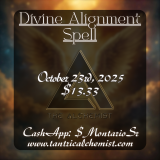 Divine Alignment Spell